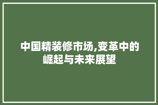 中国精装修市场,变革中的崛起与未来展望 MI家设计指南 中国精装修市场,变革中的崛起与未来展望 中国精装修市场,变革中的崛起与未来展望 MI家设计指南