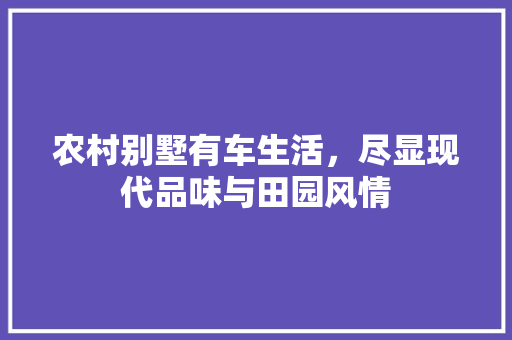 农村别墅有车生活，尽显现代品味与田园风情(农村别墅500套大全带车库)