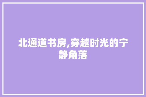 北通道书房,穿越时光的宁静角落 北通道书房,穿越时光的宁静角落 MI家设计指南