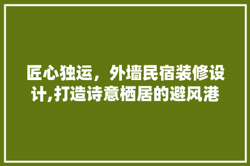 匠心独运，外墙民宿装修设计,打造诗意栖居的避风港 匠心独运，外墙民宿装修设计,打造诗意栖居的避风港 MI家设计指南