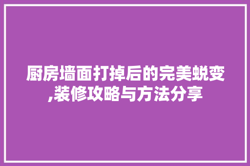 厨房墙面打掉后的完美蜕变,装修攻略与方法分享 厨房墙面打掉后的完美蜕变,装修攻略与方法分享 MI家公司推荐