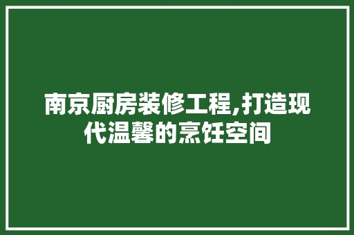 南京厨房装修工程,打造现代温馨的烹饪空间(南京厨房装修哪家公司好)