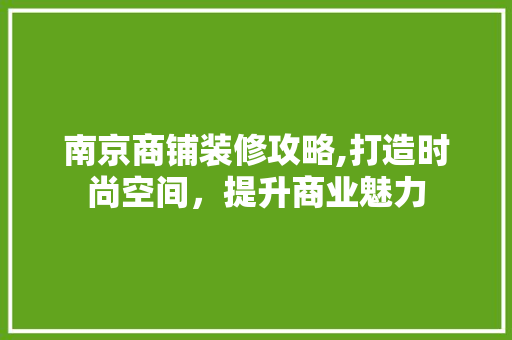 南京商铺装修攻略,打造时尚空间，提升商业魅力(南京店面装修攻略)