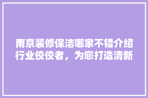 南京装修保洁哪家不错介绍行业佼佼者，为您打造清新家居环境