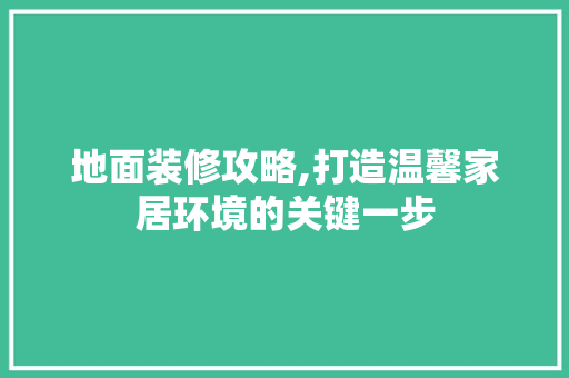 地面装修攻略,打造温馨家居环境的关键一步