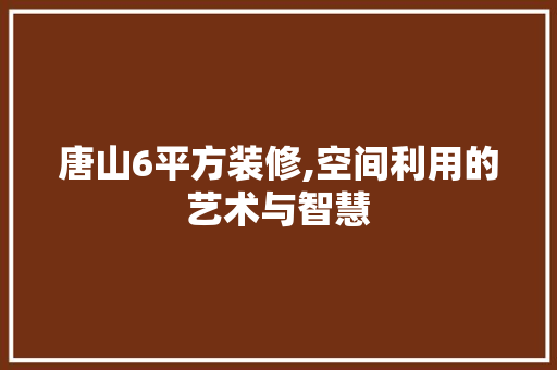 唐山6平方装修,空间利用的艺术与智慧