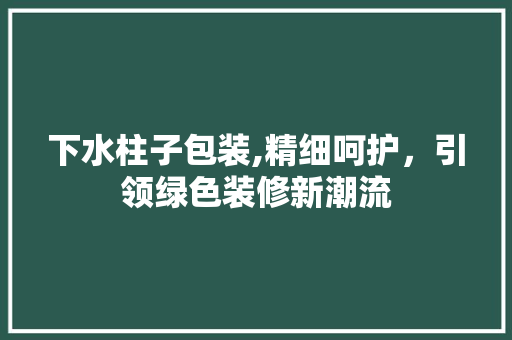 下水柱子包装,精细呵护，引领绿色装修新潮流(下水柱子怎么包)