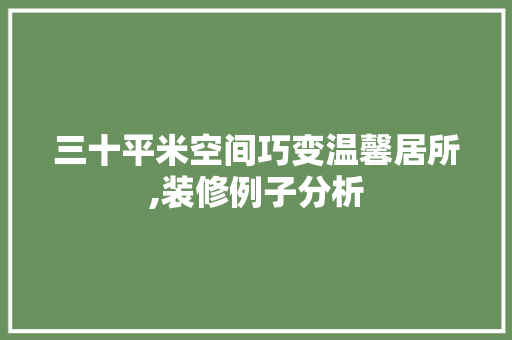 三十平米空间巧变温馨居所,装修例子分析 三十平米空间巧变温馨居所,装修例子分析 MI家公司推荐