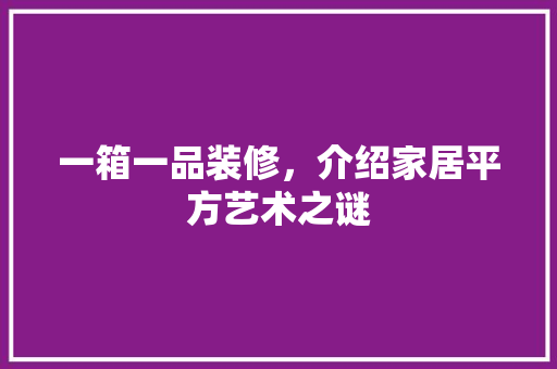 一箱一品装修，介绍家居平方艺术之谜