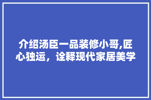介绍汤臣一品装修小哥,匠心独运，诠释现代家居美学