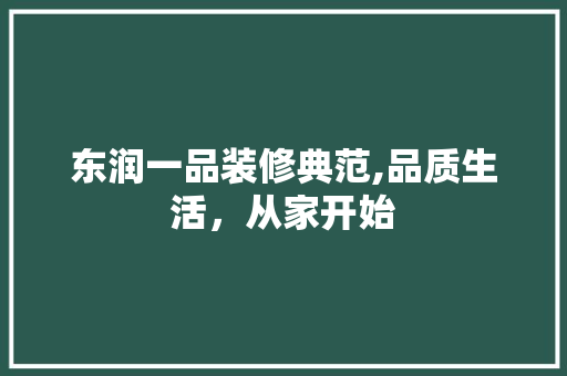 东润一品装修典范,品质生活，从家开始