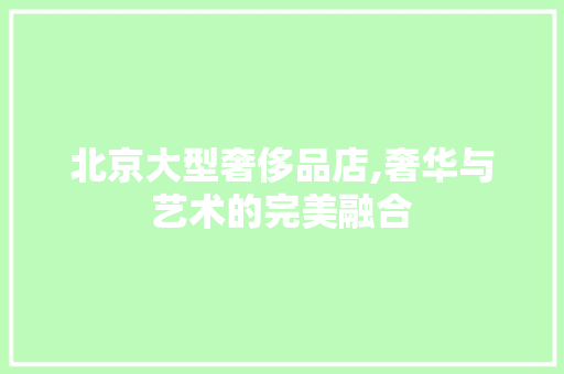 北京大型奢侈品店,奢华与艺术的完美融合(北京顶级奢侈品店)