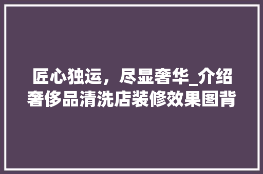 匠心独运，尽显奢华_介绍奢侈品清洗店装修效果图背后的设计理念