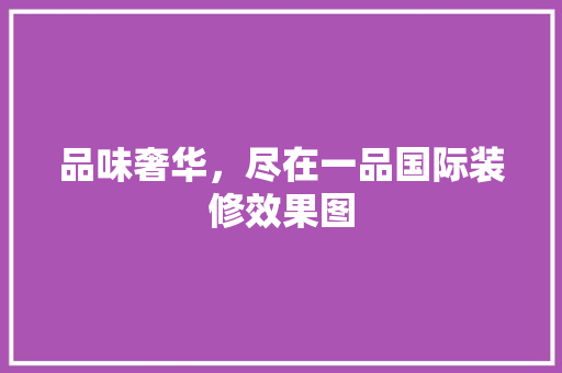 品味奢华，尽在一品国际装修效果图