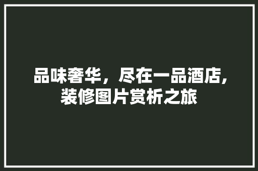 品味奢华，尽在一品酒店,装修图片赏析之旅
