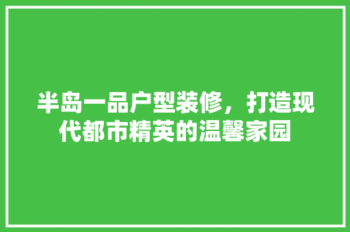 半岛一品户型装修，打造现代都市精英的温馨家园