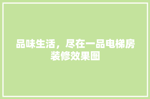 品味生活，尽在一品电梯房装修效果图