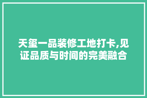 天玺一品装修工地打卡,见证品质与时间的完美融合