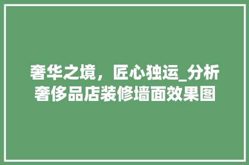 奢华之境，匠心独运_分析奢侈品店装修墙面效果图