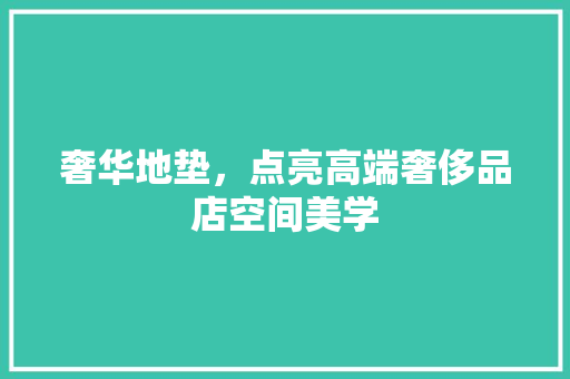 奢华地垫，点亮高端奢侈品店空间美学 奢华地垫，点亮高端奢侈品店空间美学 MI家装修攻略