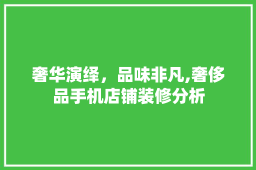 奢华演绎，品味非凡,奢侈品手机店铺装修分析