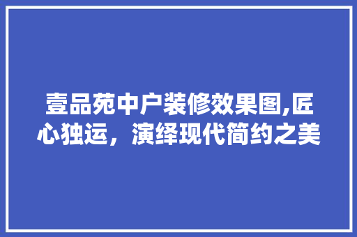 壹品苑中户装修效果图,匠心独运，演绎现代简约之美