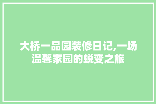 大桥一品园装修日记,一场温馨家园的蜕变之旅(黄石市大桥一品园四期规划)