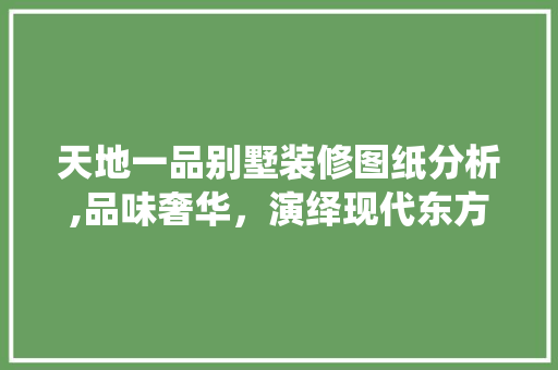 天地一品别墅装修图纸分析,品味奢华，演绎现代东方美学