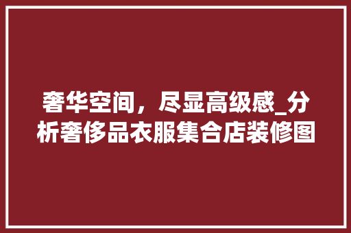 奢华空间，尽显高级感_分析奢侈品衣服集合店装修图(奢侈品服装店平面图)