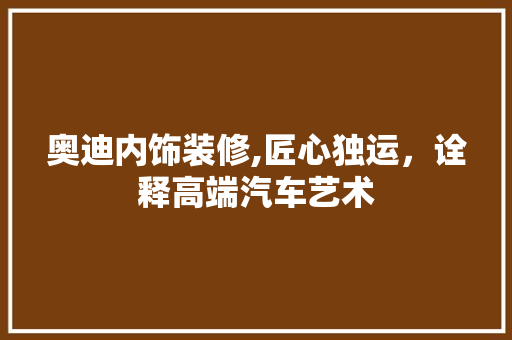 奥迪内饰装修,匠心独运，诠释高端汽车艺术