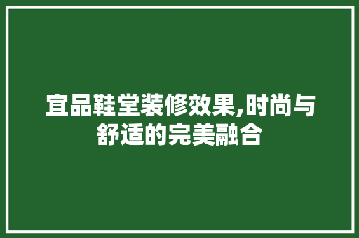 宜品鞋堂装修效果,时尚与舒适的完美融合(宜品堂做什么的)