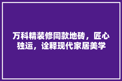 万科精装修同款地砖，匠心独运，诠释现代家居美学