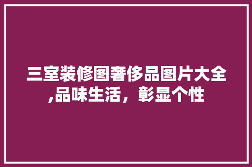 三室装修图奢侈品图片大全,品味生活，彰显个性