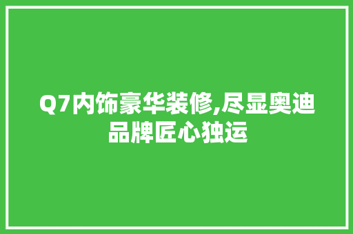 Q7内饰豪华装修,尽显奥迪品牌匠心独运
