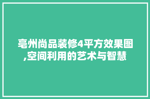 亳州尚品装修4平方效果图,空间利用的艺术与智慧