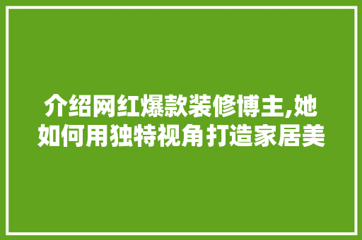介绍网红爆款装修博主,她如何用独特视角打造家居美学新风尚(网红 装修)