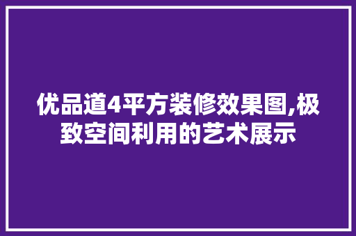 优品道4平方装修效果图,极致空间利用的艺术展示