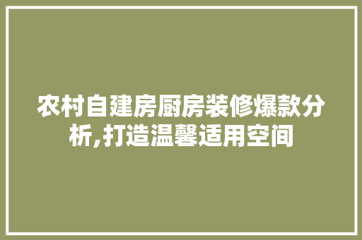 农村自建房厨房装修爆款分析,打造温馨适用空间(农村自建房厨房设计)