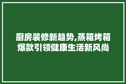 厨房装修新趋势,蒸箱烤箱爆款引领健康生活新风尚