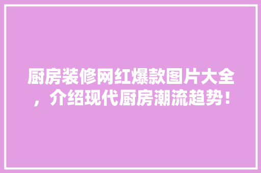 厨房装修网红爆款图片大全，介绍现代厨房潮流趋势！