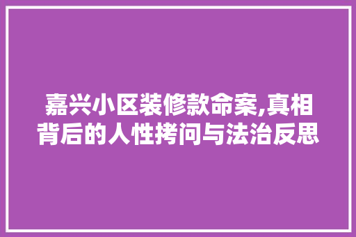 嘉兴小区装修款命案,真相背后的人性拷问与法治反思