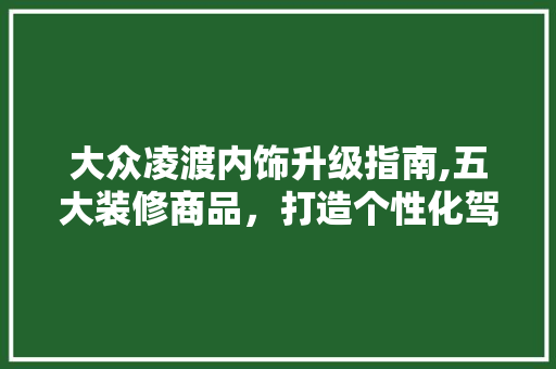 大众凌渡内饰升级指南,五大装修商品，打造个性化驾驶空间