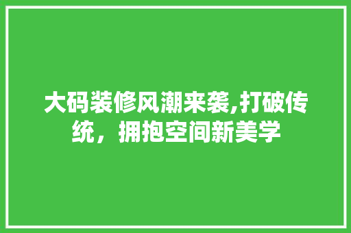 大码装修风潮来袭,打破传统，拥抱空间新美学 大码装修风潮来袭,打破传统，拥抱空间新美学 MI家设计指南