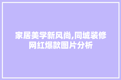 家居美学新风尚,同城装修网红爆款图片分析