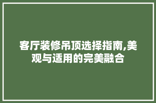 客厅装修吊顶选择指南,美观与适用的完美融合