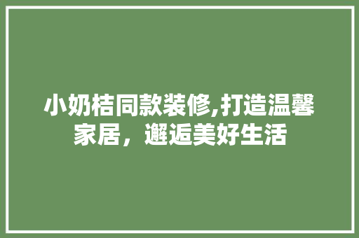 小奶桔同款装修,打造温馨家居，邂逅美好生活