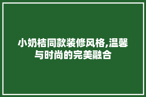 小奶桔同款装修风格,温馨与时尚的完美融合