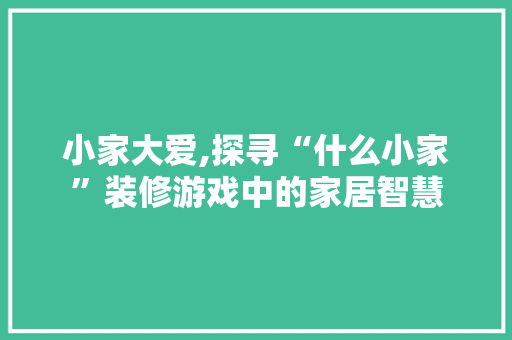 小家大爱,探寻“什么小家”装修游戏中的家居智慧(什么是小家什么是大家)