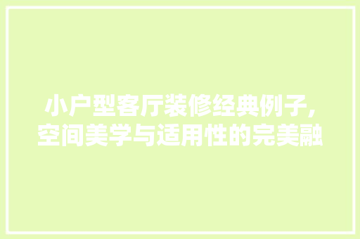 小户型客厅装修经典例子,空间美学与适用性的完美融合(小户型客厅装修案例)