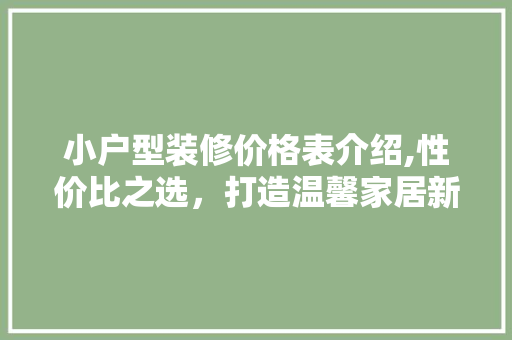 小户型装修价格表介绍,性价比之选，打造温馨家居新潮流 小户型装修价格表介绍,性价比之选，打造温馨家居新潮流 MI家设计指南